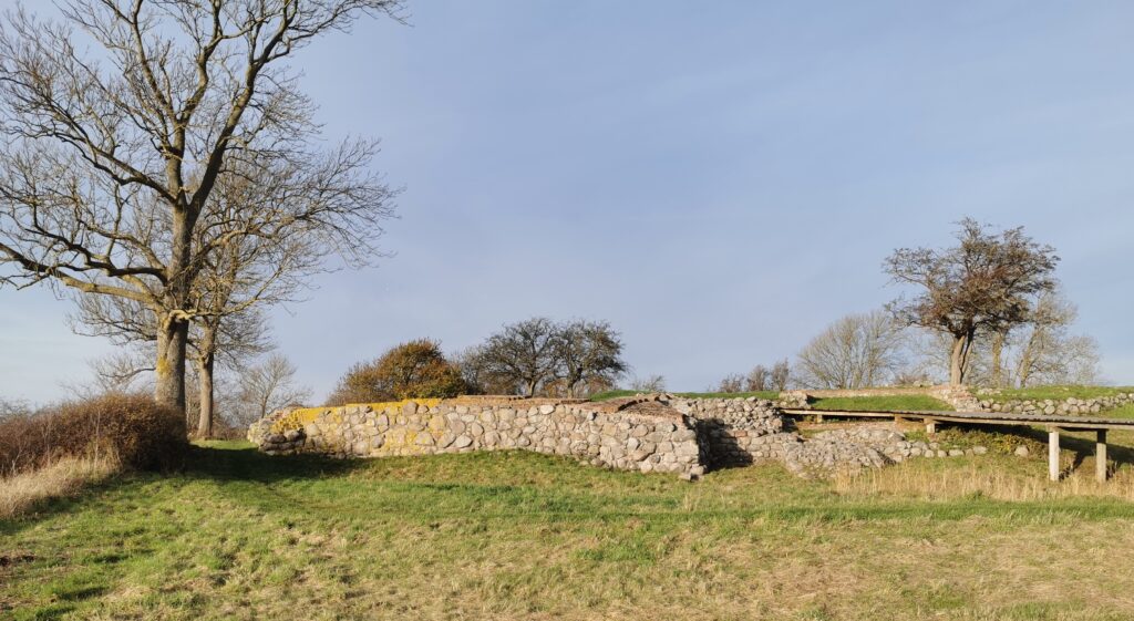 Søborg Slot – Kongegrave